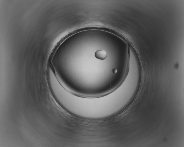 X0000116681326200912291711