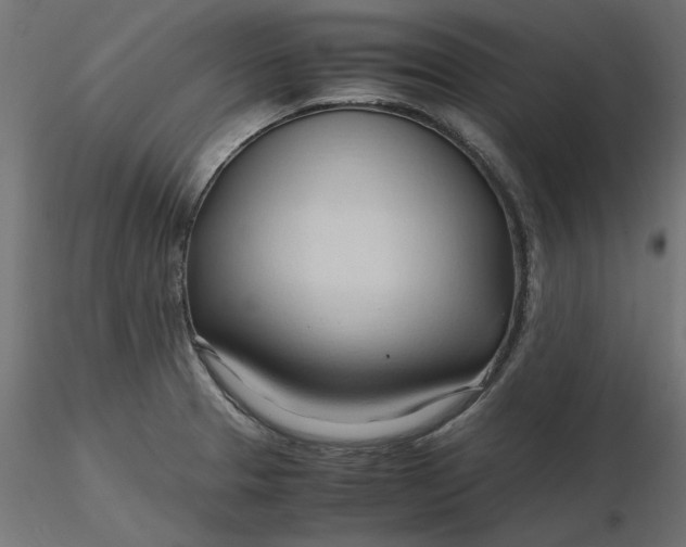 X0000116681329200912291711