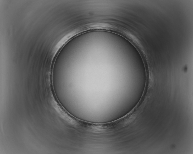 X0000116681330200912291711