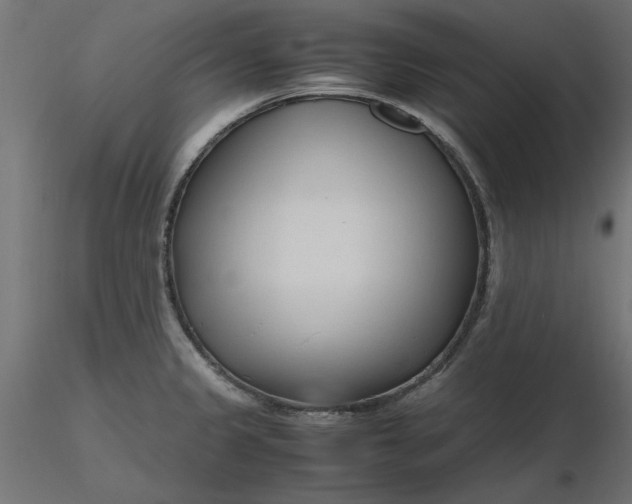 X0000116681333200912291711