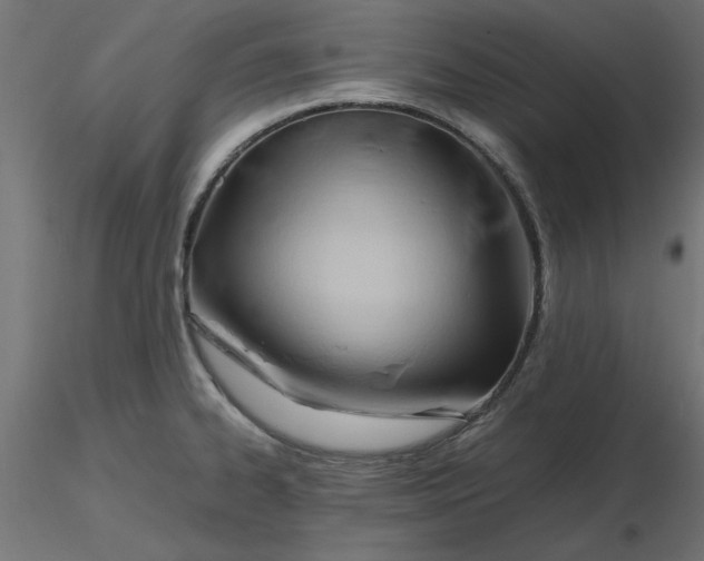 X0000116681334200912291711