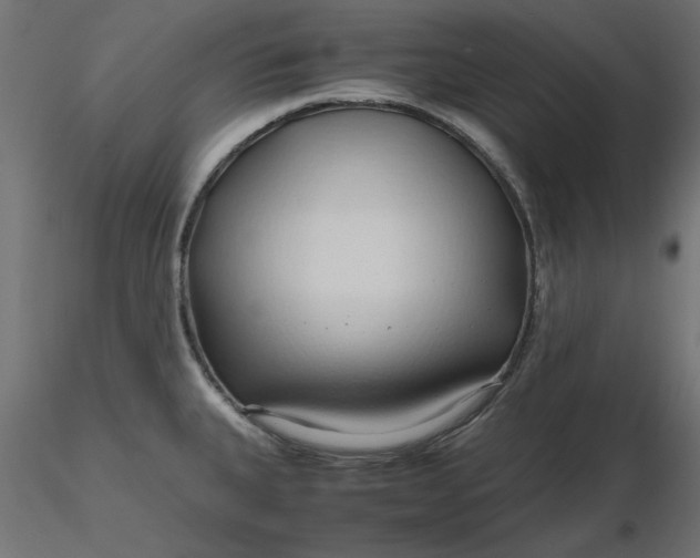 X0000116681335200912291711