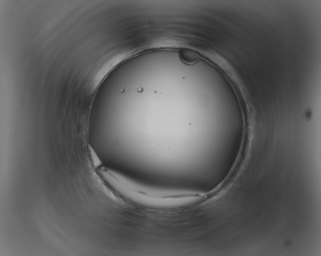 X0000116681337200912291711