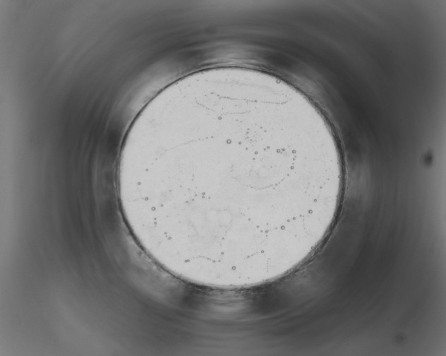 X0000116681338200912291711