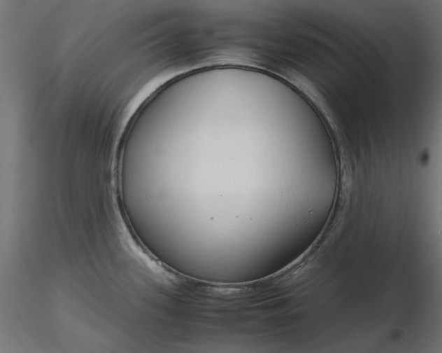 X0000116681339200912291711