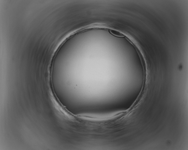 X0000116681341200912291711