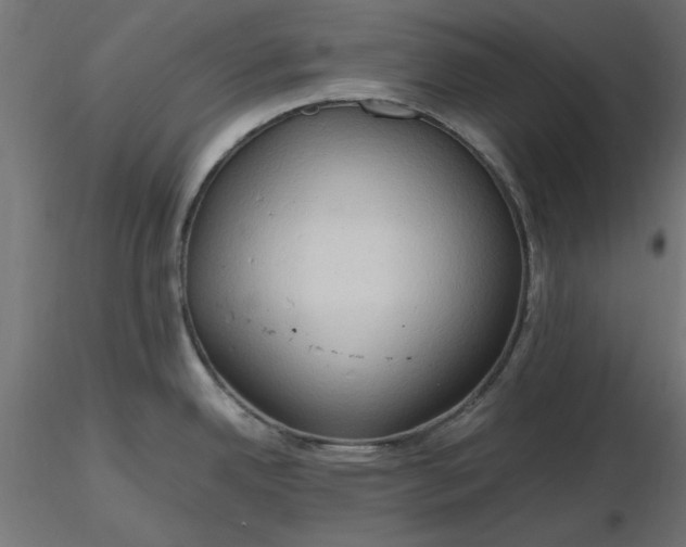 X0000116681342200912291711