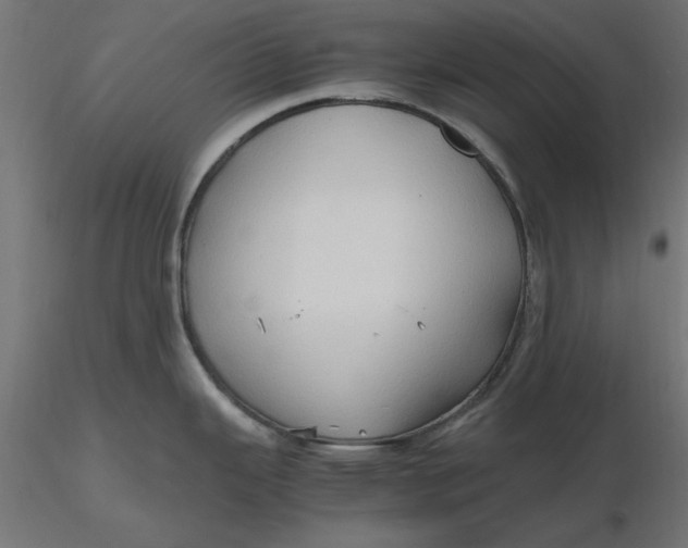 X0000116681343200912291711