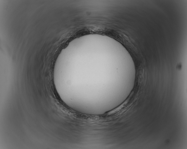 X0000116681345200912291711