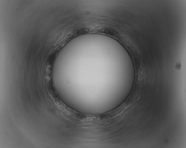 X0000116681346200912291711