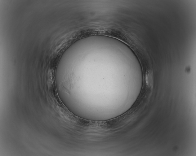 X0000116681347200912291711