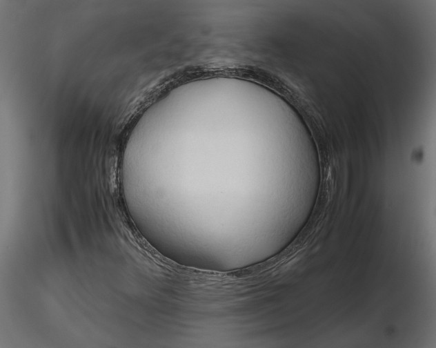 X0000116681348200912291711