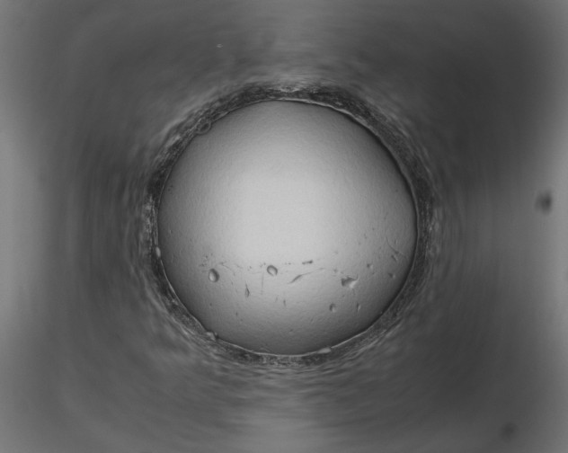 X0000116681349200912291711