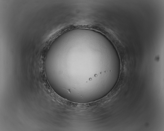 X0000116681350200912291711