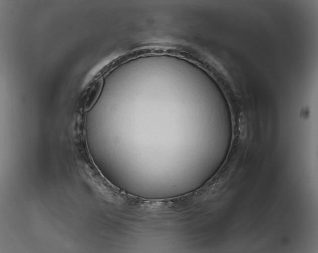 X0000116681352200912291711