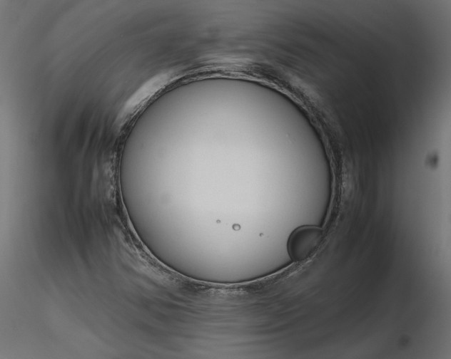 X0000116681354200912291711