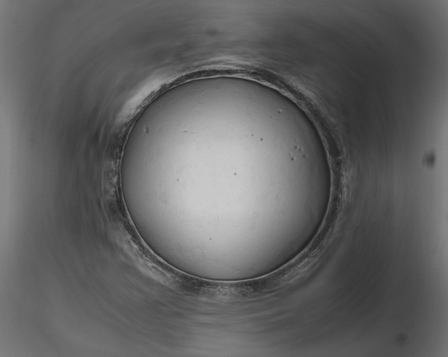 X0000116681355200912291711