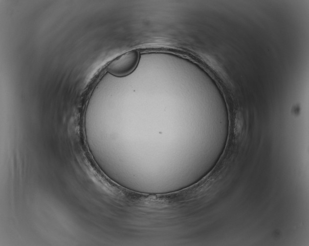 X0000116681356200912291711