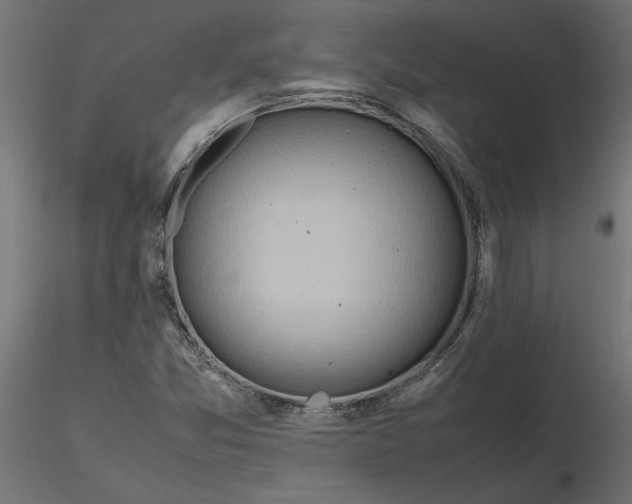 X0000116681357200912291711