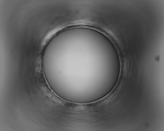 X0000116681358200912291711