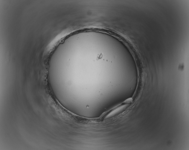 X0000116681359200912291711