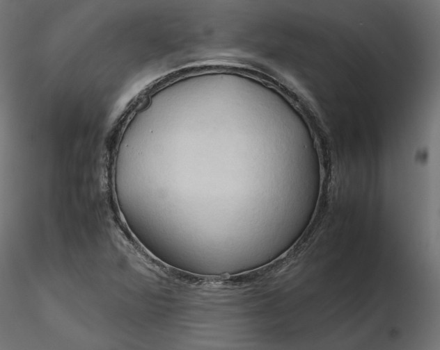 X0000116681360200912291710