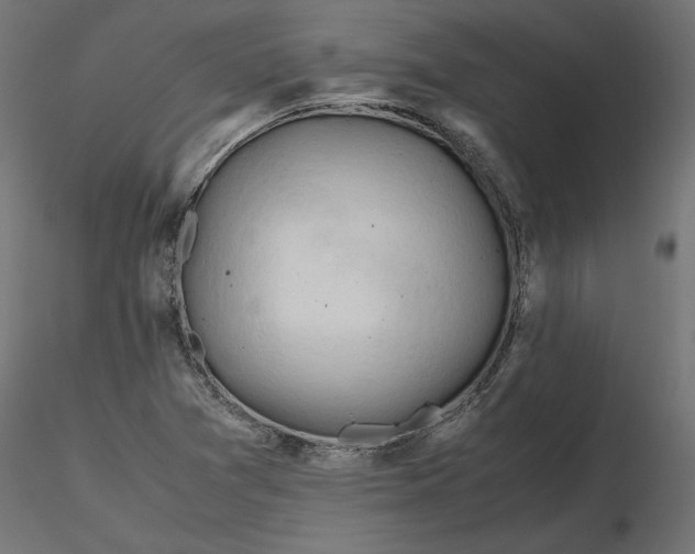 X0000116681361200912291710