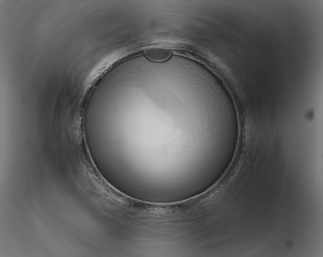 X0000116681362200912291710