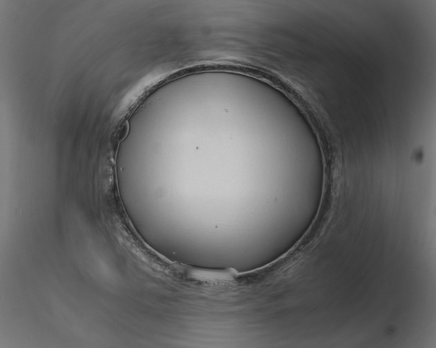 X0000116681363200912291710