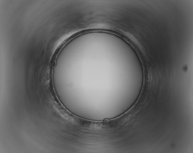 X0000116681364200912291710