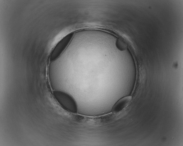 X0000116681365200912291710