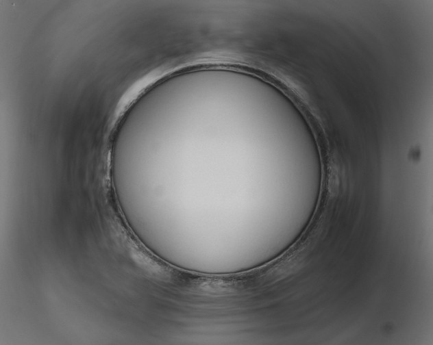 X0000116681366200912291710