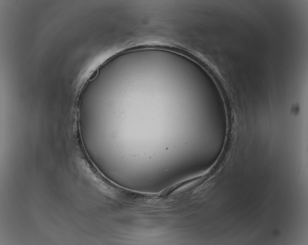 X0000116681367200912291710