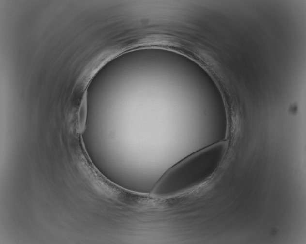 X0000116681369200912291710