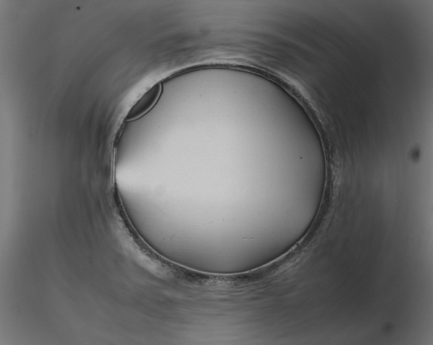 X0000116681371200912291710