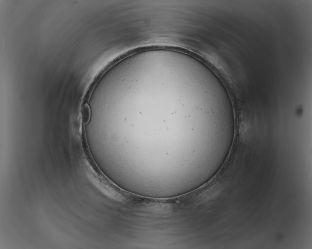 X0000116681372200912291710