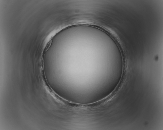 X0000116681373200912291710