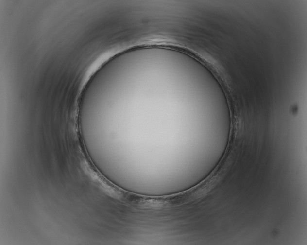 X0000116681374200912291710