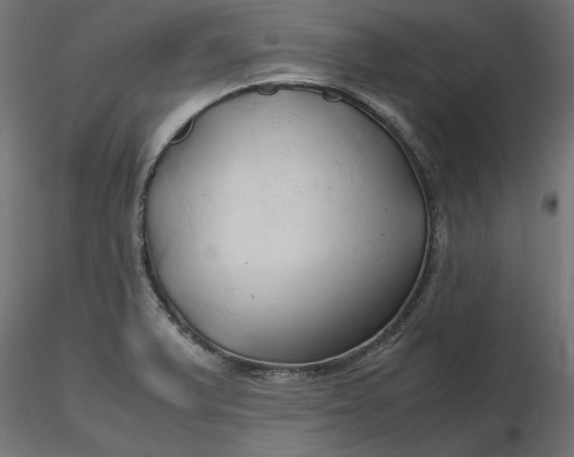 X0000116681375200912291710