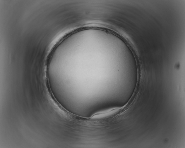 X0000116681376200912291710