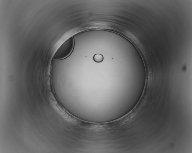 X0000116681378200912291710