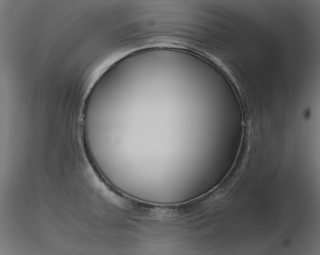 X0000116681379200912291710