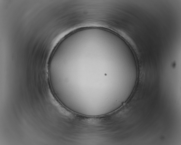 X0000116681380200912291710