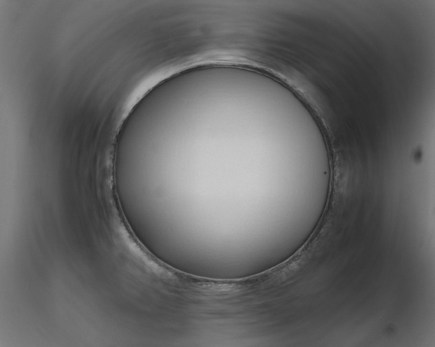 X0000116681382200912291710