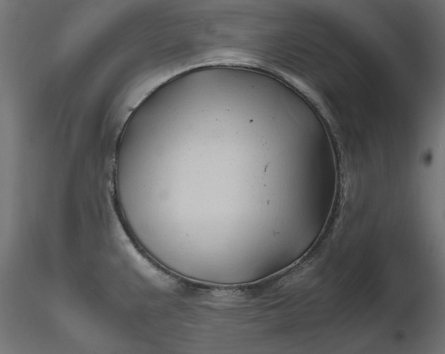 X0000116681383200912291710