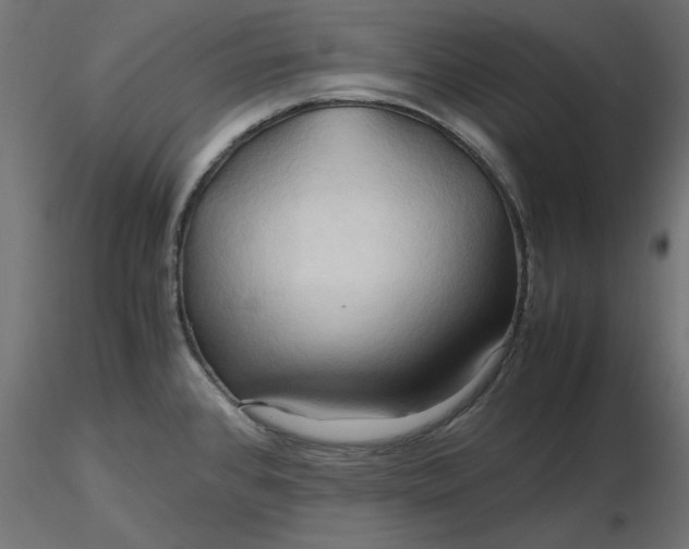 X0000116681384200912291710