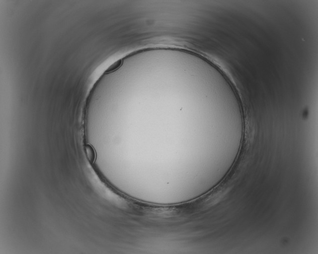 X0000116681387200912291710