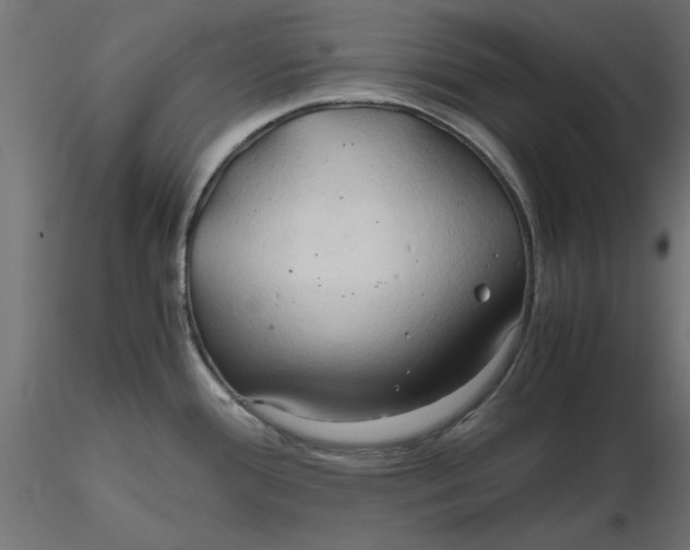 X0000116681388200912291710