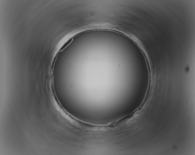 X0000116681389200912291710