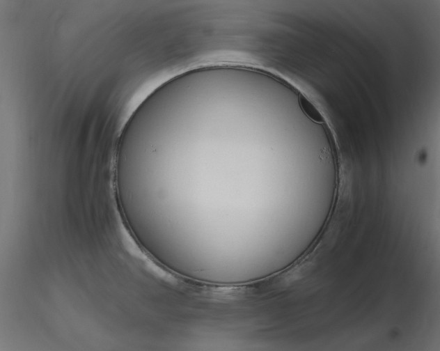 X0000116681390200912291710